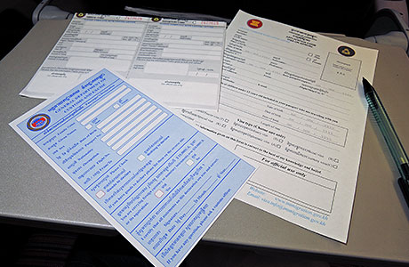 入国書類とビザ申請用紙