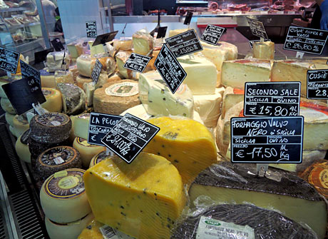 豊富なチーズの食材
